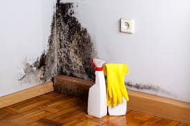 Mold Remediation for Vacation Homes in Saranap, CA